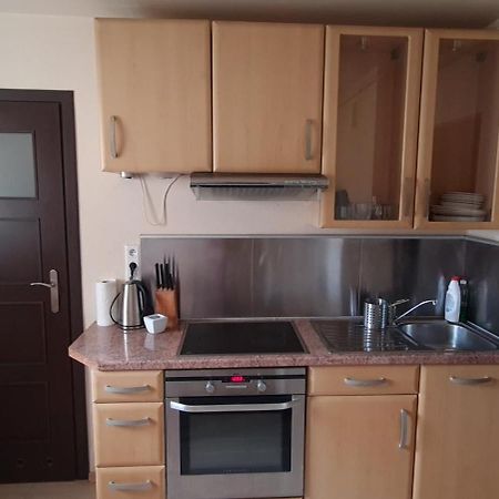 Apartament Czarny Potok Krynica Zdroj Buitenkant foto