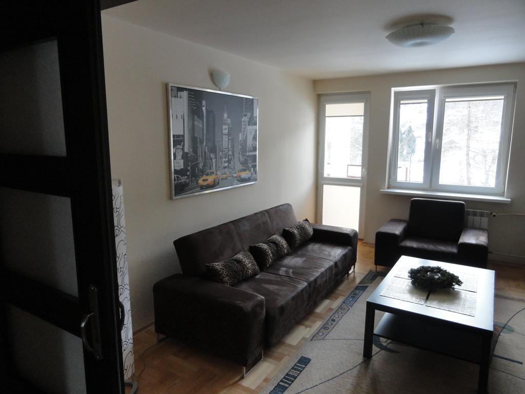 Apartament Czarny Potok Krynica Zdroj Kamer foto