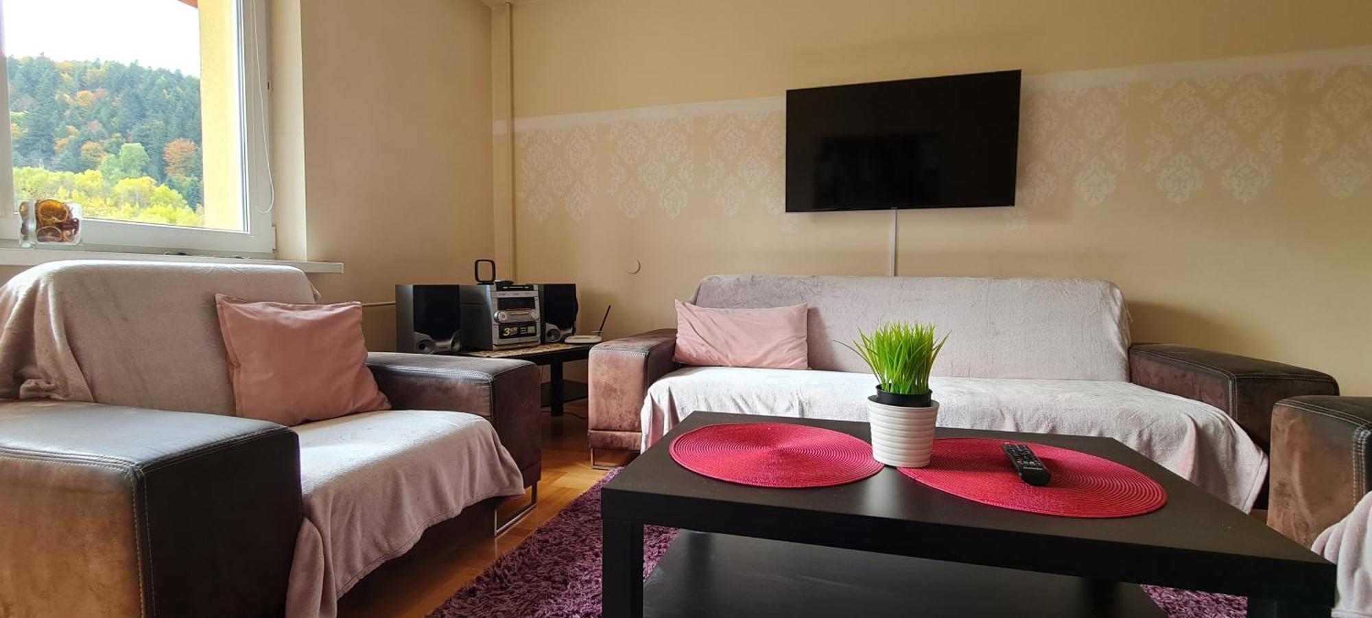 Apartament Czarny Potok Krynica Zdroj Buitenkant foto