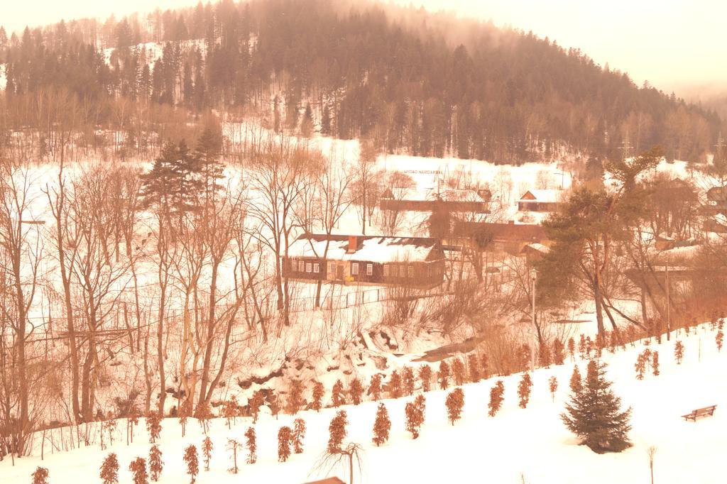 Apartament Czarny Potok Krynica Zdroj Buitenkant foto