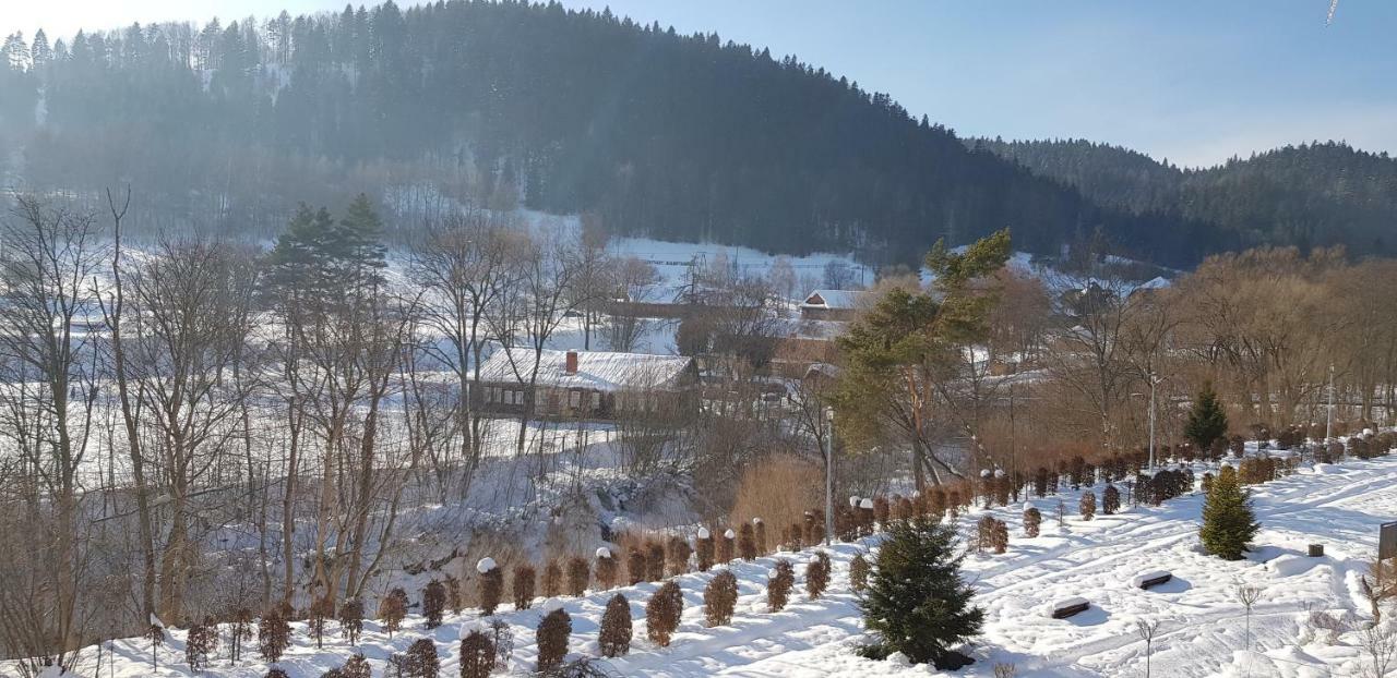 Apartament Czarny Potok Krynica Zdroj Buitenkant foto